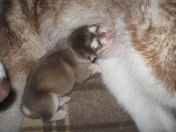 Y-Wurf 24.10.2014 005